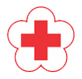 Logo PMI